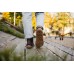[PRE-ORDER] RANGER 2.0 Be Lenka Dark Brown